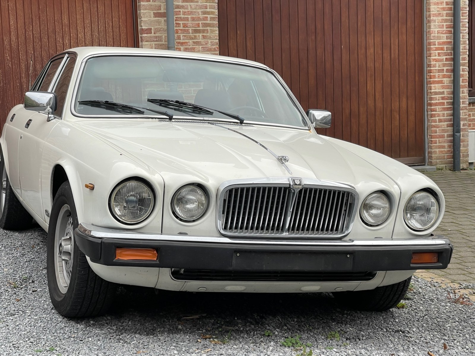 Jaguar sovereign blanche 1986